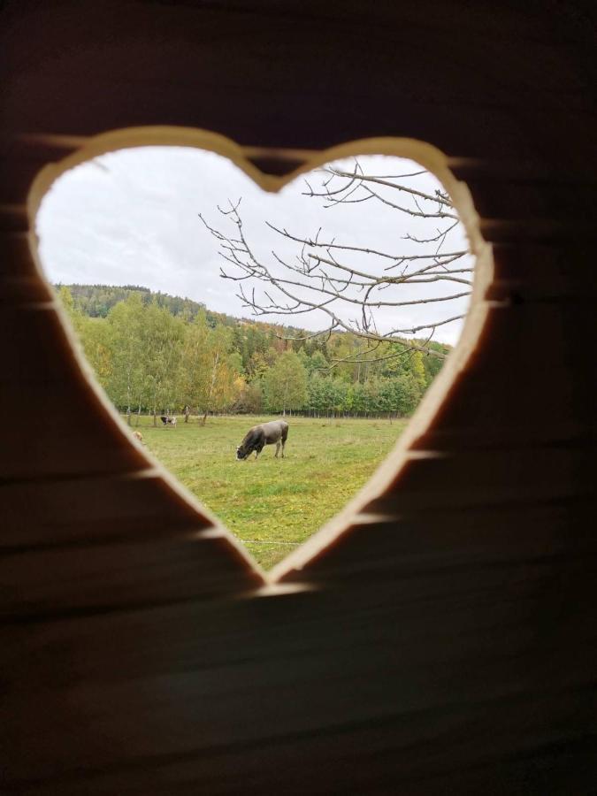 Zazitkovy Pobyt Uprostred Prirody Zelezny Brod Esterno foto